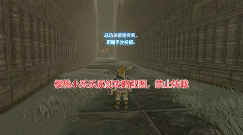 《塞尔达传说：旷野之息》全面神庙解谜攻略，助你轻松征服所有遗迹挑战